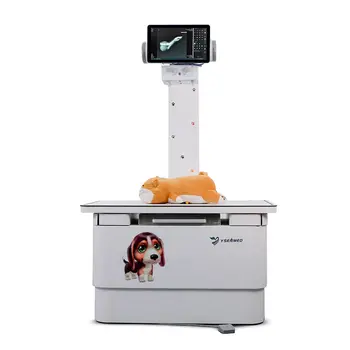 Ветеринарен обзавеждане Ysenmed 20KW animals дигитална рентгенова система Медицинска рентгенова машина специално за ветеринарните домашни любимци цената на рентгенови апарати