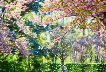 Пролетните природни пейзажи, плакати, на фона, на цветя за украса на стаята, семеен портал, подпори за фото студио, банер за щанд Изображение 2