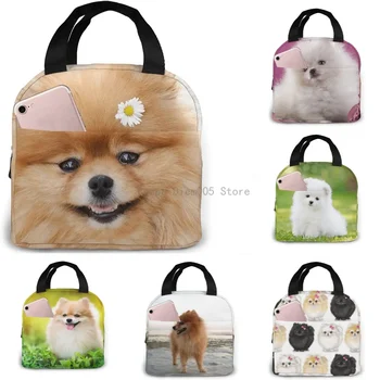 Чанта за обяд с изолация за кучета от порода померан За еднократна употреба, водоустойчива чанта-хладилник, обяд-бокс за момичета, ученически екскурзии, пикник